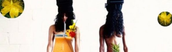 VDT 2013 Dance Politics Debate