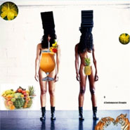 VDT 2013 Dance Politics Debate