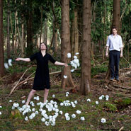 2013 VDT Mentor Support for Two Destination Language